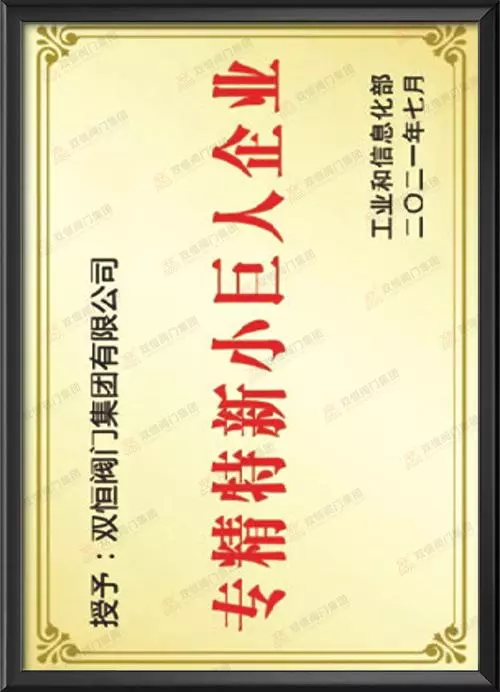 国家工信部专精特新小巨人企业