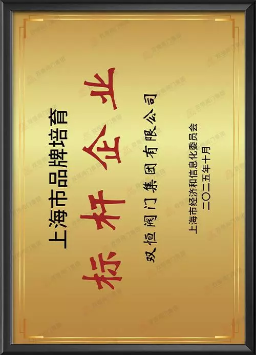 上海市品牌培育标杆企业